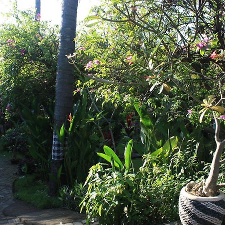 Cleopatra Beach Bungalows Hotel Lovina Buitenkant foto