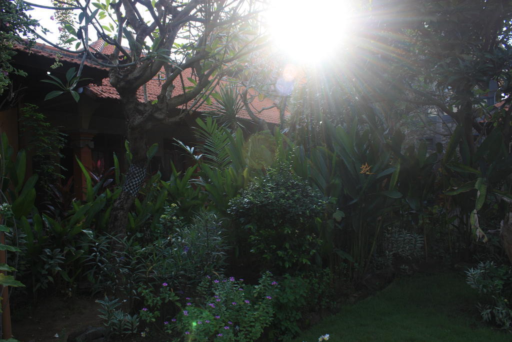 Cleopatra Beach Bungalows Hotel Lovina Buitenkant foto