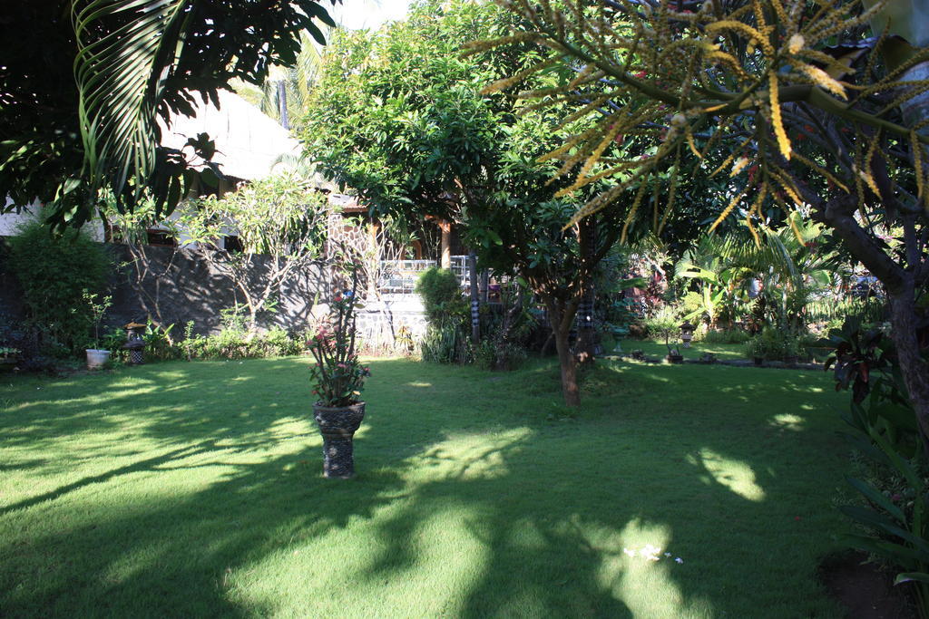 Cleopatra Beach Bungalows Hotel Lovina Kamer foto